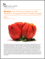 Click to view Wasted Food PDF